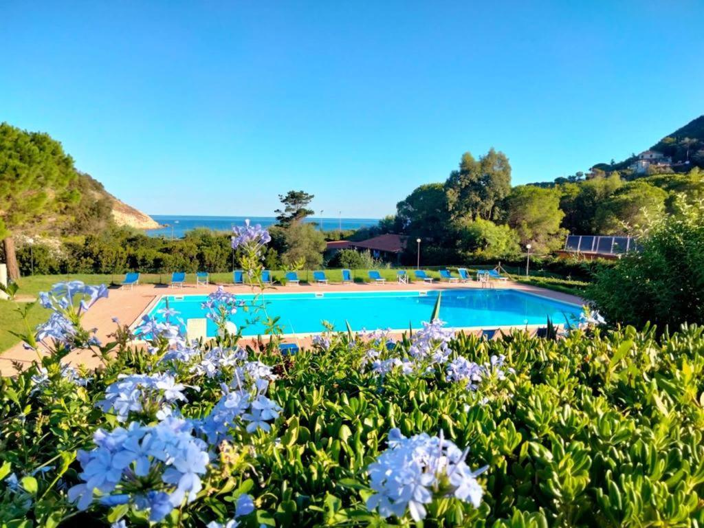 Elbamare Residence Con Piscina Nisporto Luaran gambar